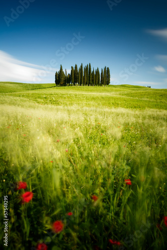 Photo: Toscane, Italie Toscane, Italie