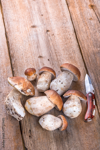 Photo: Porcini Mushroom lying on a Wooden Table Porcini Mushroom lying on a Wooden Table