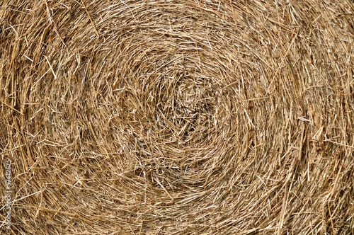 Photo: Texture of rick or straw. Texture of rick or straw.
