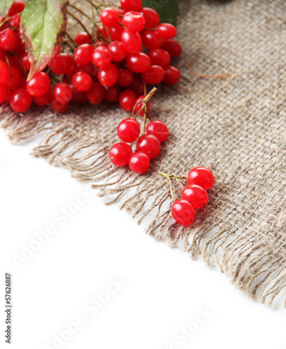 Photo: Red berries of viburnum on sackcloth napkin, isolated on white Red berries of viburnum on sackcloth napkin, isolated on white
