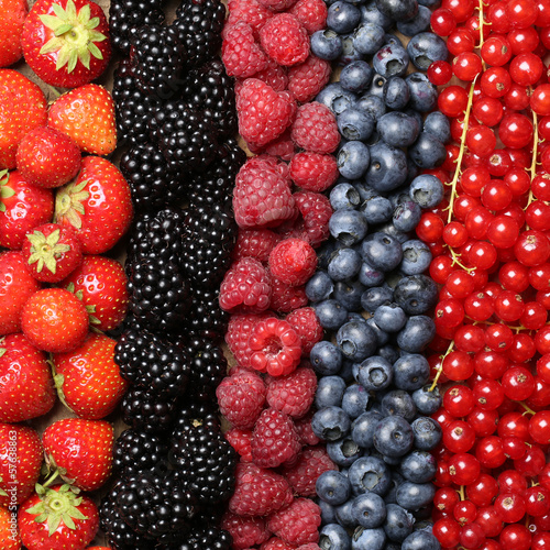 Photo: Frische Beeren Früchte Hintergrund Frische Beeren Früchte Hintergrund