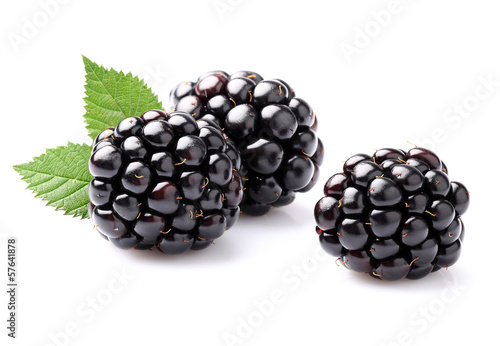 Photo: Blackberry with leaves Blackberry with leaves