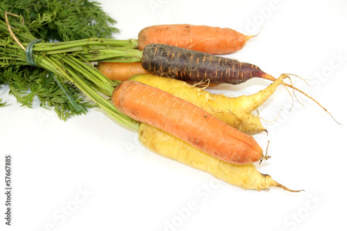 Photo: carottes carottes