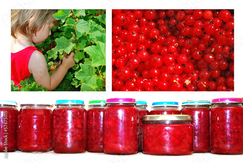 Photo: rote johannisbeeren rote johannisbeeren