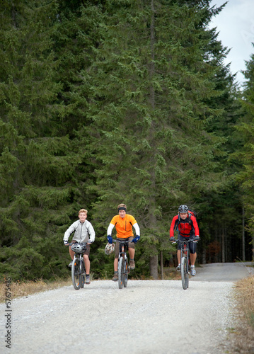 Photo: Gruppe Mountainbiker auf Forstweg Gruppe Mountainbiker auf Forstweg