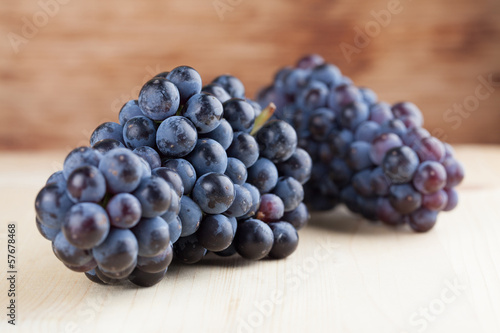 Photo: Blue grape clusters Blue grape clusters