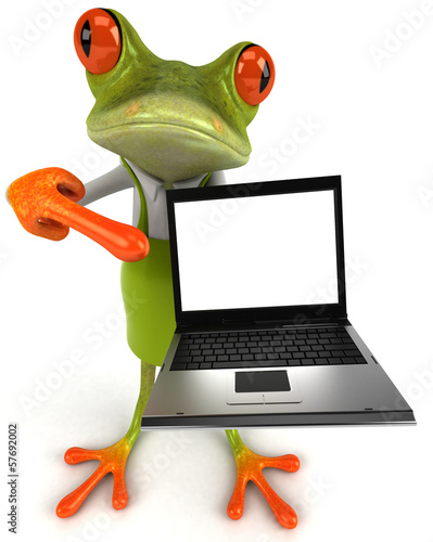 Illustration: Frog Frog