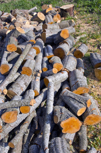 Photo: alder firewood in farm alder firewood in farm