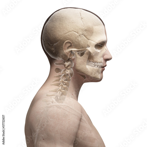 Illustration: guy bending his neck guy bending his neck