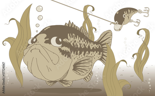 Vector: bass bass