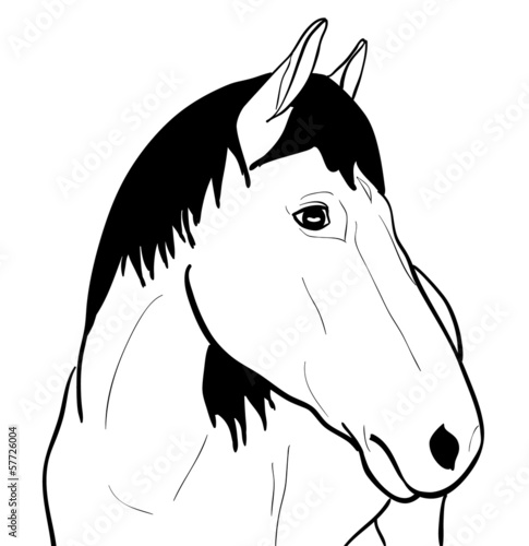 Vector: Outline Horse On White Background Outline Horse On White Background