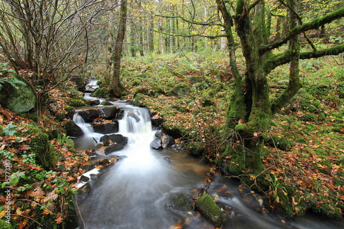 Photo: paysage d'automne paysage d'automne