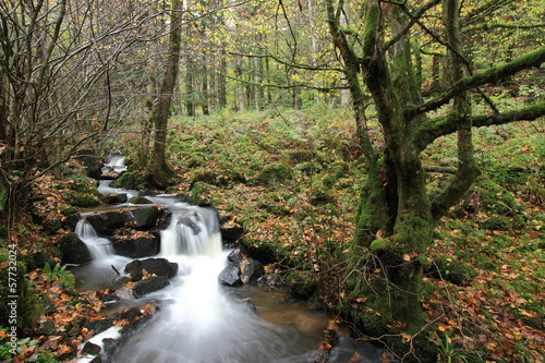 Photo: paysage d'automne paysage d'automne