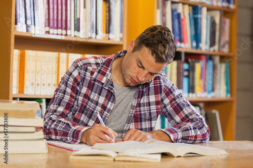 Photo: Handsome concentrated student studying his books Handsome concentrated student studying his books