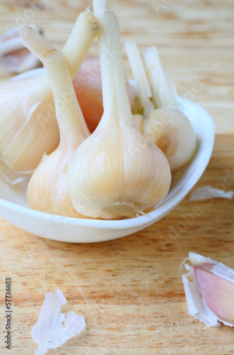 Photo: head marinated garlic in white bowl head marinated garlic in white bowl