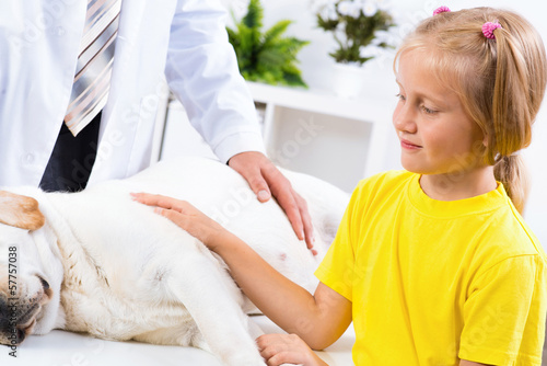 Photo: girl holds a dog in a veterinary clinic girl holds a dog in a veterinary clinic