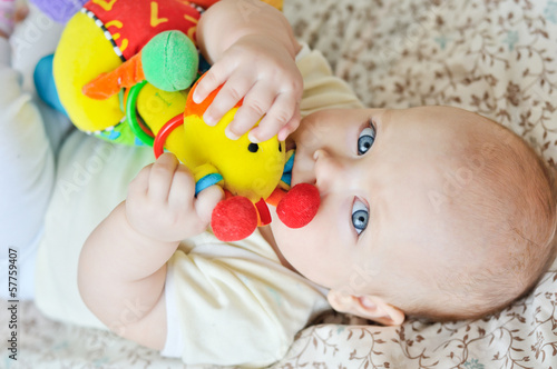 Photo: baby biting a toy baby biting a toy