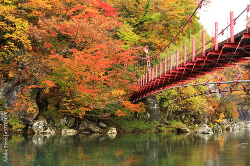 Photo: 紅葉と橋 紅葉と橋