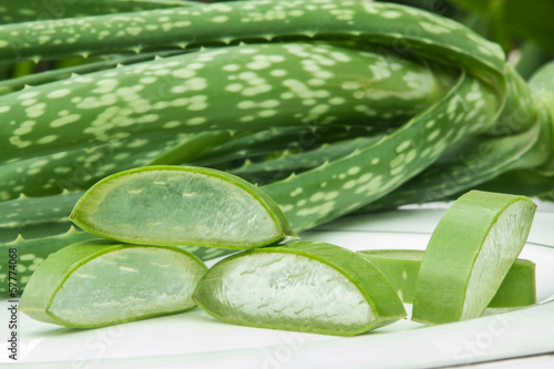 Photo: Aloe Vera on white plate. Aloe Vera on white plate.