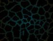 Seamless giraffe print Seamless giraffe print