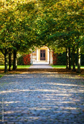 Photo: tree arched entrance tree arched entrance