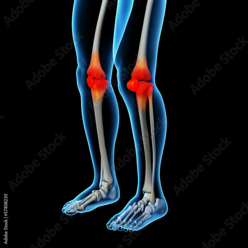 Illustration: Human knee pain with the anatomy of a skeleton leg Human knee pain with the anatomy of a skeleton leg