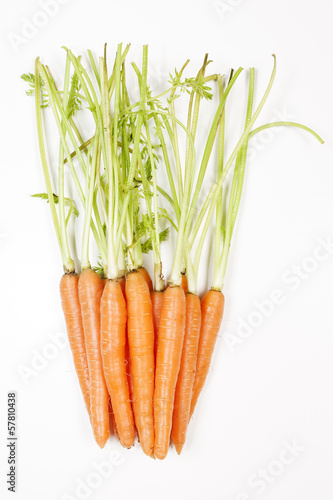 Photo: Carrot vegetable Carrot vegetable