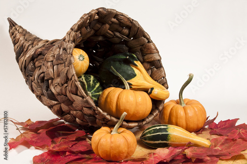 Photo: Cornucopia & Gourds Cornucopia & Gourds