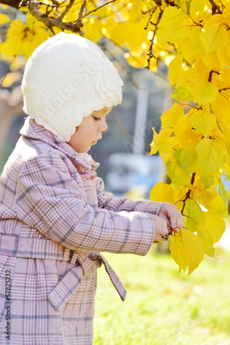 Photo: toddler girl near fall tree toddler girl near fall tree