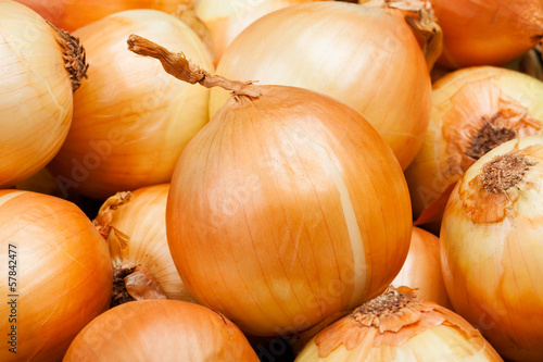 Photo: onions onions