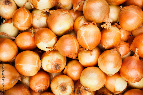 Photo: onions onions