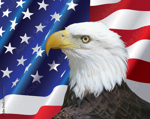 Photo: Bald Eagle portrait with USA flag Background Bald Eagle portrait with USA flag Background