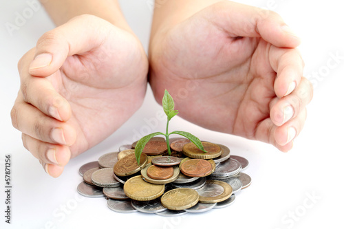 Photo: Hands protecting green tree growing on money coins Hands protecting green tree growing on money coins