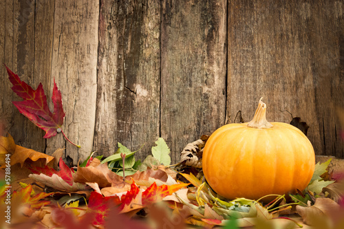 Photo: pumpkins and autumn leaves pumpkins and autumn leaves