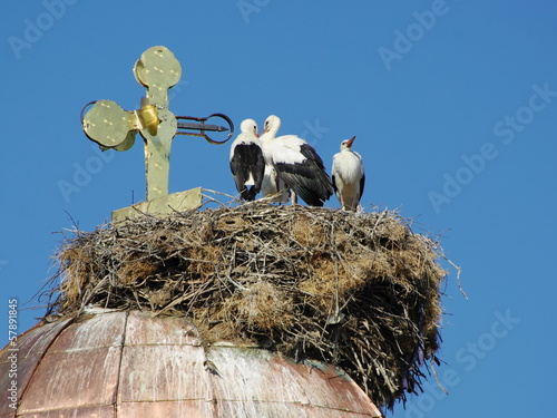 Storks Close To A Cross