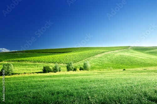 Photo: hills in sunny day Tuscany, Italy hills in sunny day Tuscany, Italy