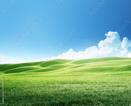 Photo: field of spring grass, tuscany field of spring grass, tuscany