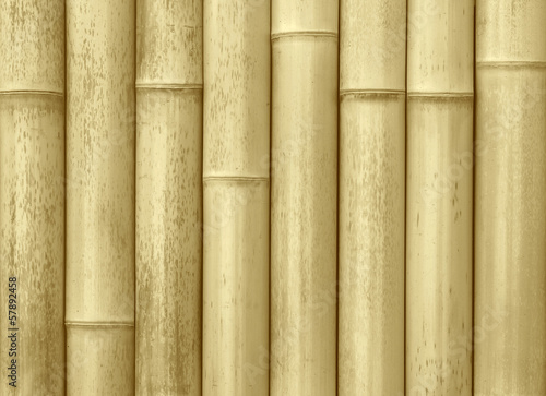 Photo: close up of wall made of bamboo planks close up of wall made of bamboo planks
