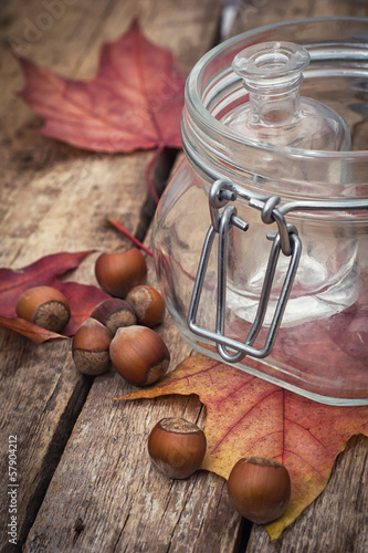 Photo: Forest hazelnuts in shell Forest hazelnuts in shell
