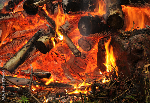 Photo: Waldbrand Waldbrand