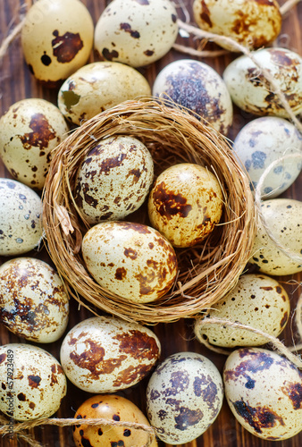 Photo: quail eggs quail eggs