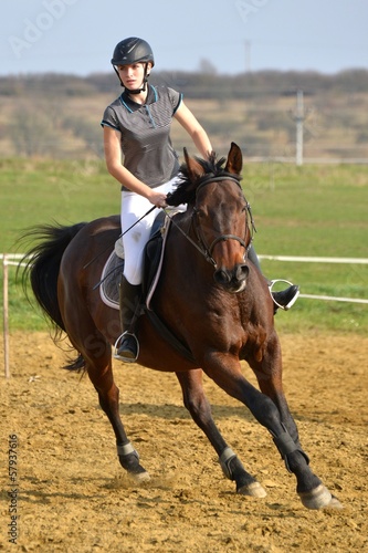 Photo: horse jumping horse jumping