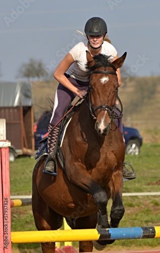 Photo: horse jumping horse jumping