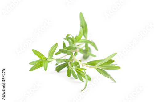 Photo: Savory Savory