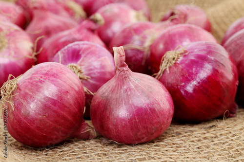 Photo: Closeup of red large onion on sacking Closeup of red large onion on sacking