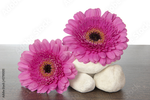 Photo: White rocks pink Gerberas on wood White rocks pink Gerberas on wood