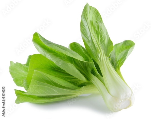 Photo: Bok choy (chinese cabbage) isolated on white Bok choy (chinese cabbage) isolated on white
