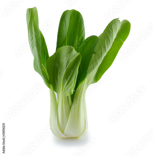 Photo: Bok choy (chinese cabbage) isolated on white Bok choy (chinese cabbage) isolated on white