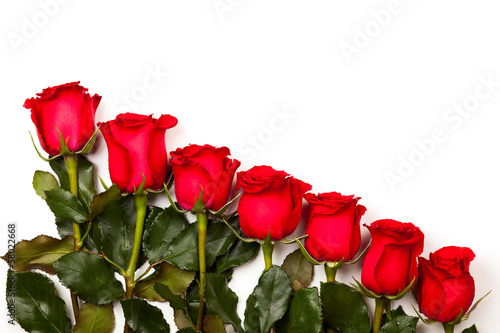 Photo: Red roses Red roses