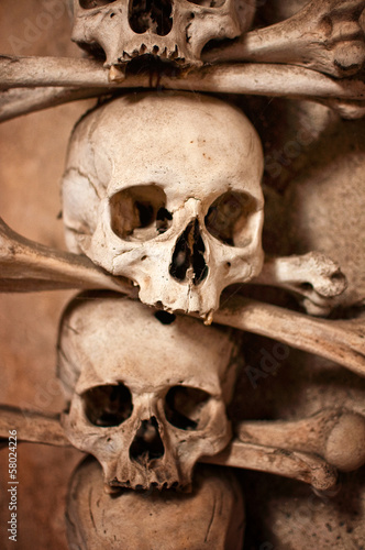 Photo: Human skulls Human skulls